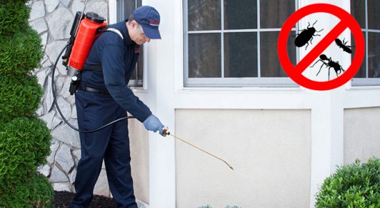 Şefaatli Bit İlaçlama böcek ilaçlama ve haşere kontrolü — ilaclama-tr.com